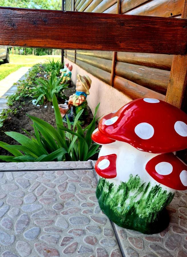 Pensiunea Sanziana Otel Oradea Dış mekan fotoğraf